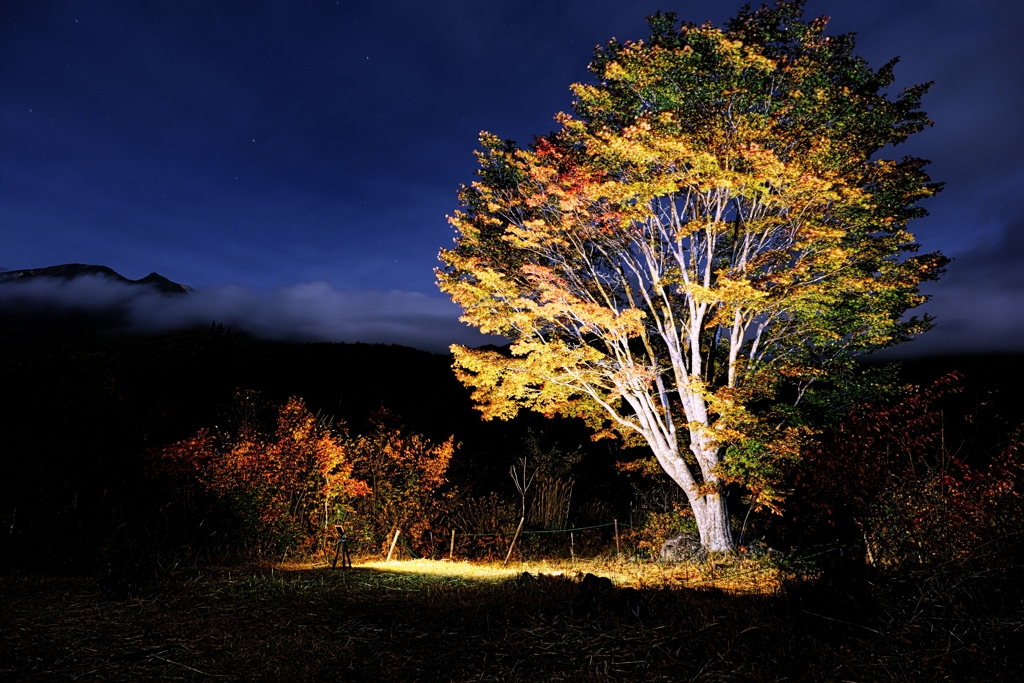 乗鞍高原で紅葉撮影＃４