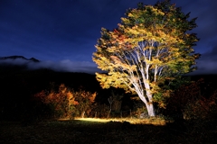 乗鞍高原で紅葉撮影＃４