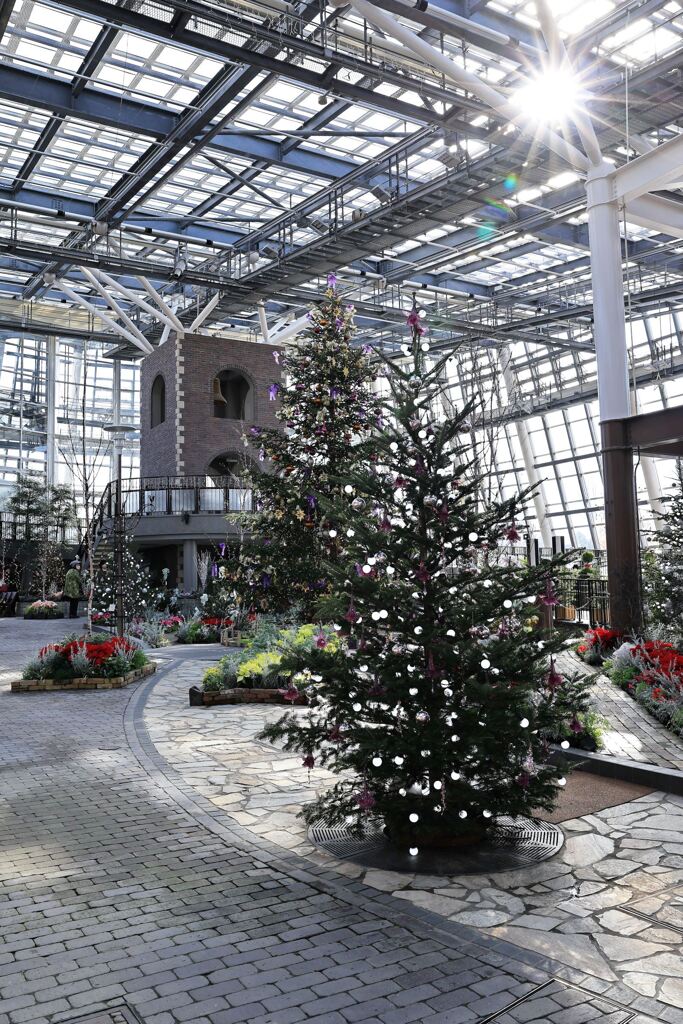 クリスマスムード満点のデンパーク＃６