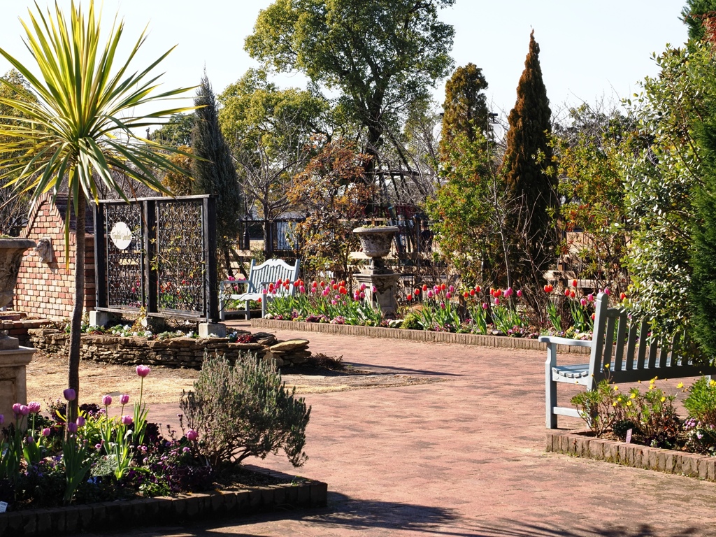 フローラルガーデンよさみ＃５