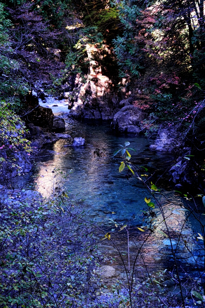 久し振りの阿寺渓谷＃５