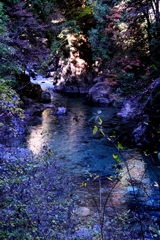 久し振りの阿寺渓谷＃５