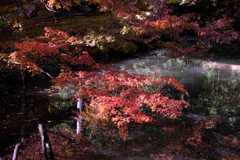 晩秋の紅葉撮影・松平郷#2