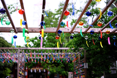 市原稲荷神社の風鈴情景#2