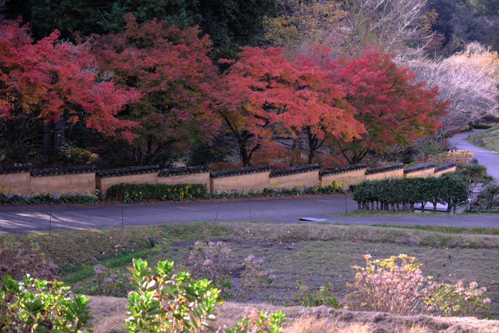 晩秋の紅葉撮影・松平郷＃５