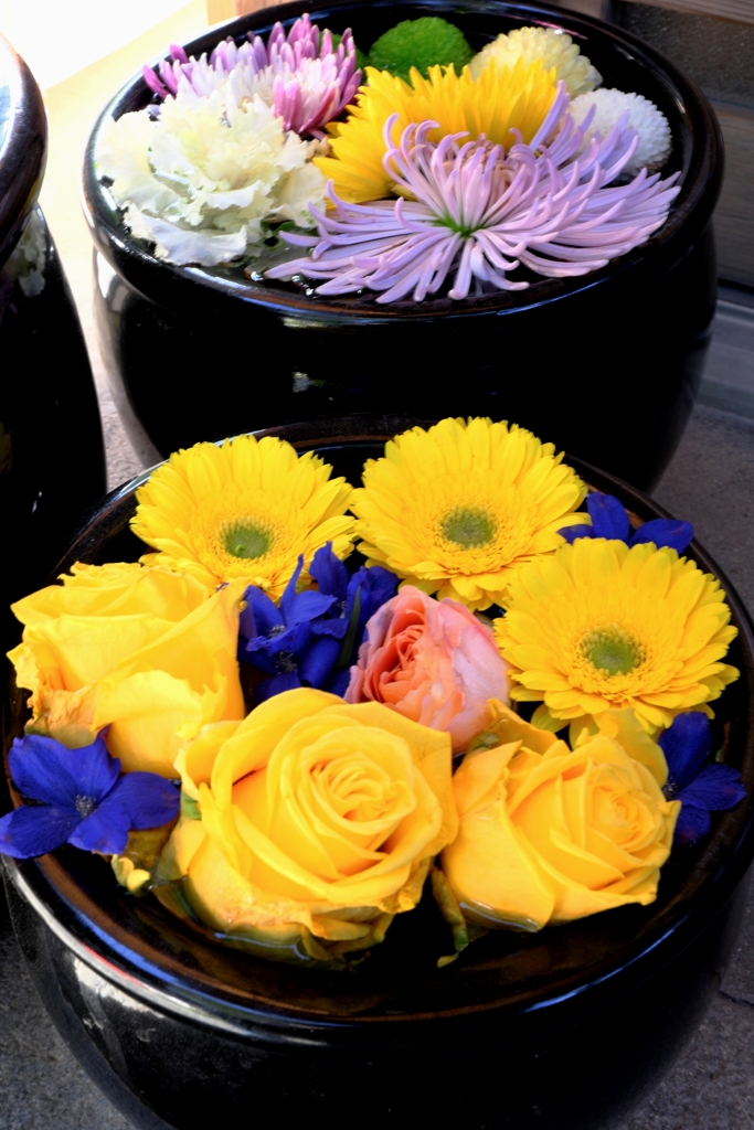 岡崎・菅生神社の花手水＃６