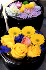 岡崎・菅生神社の花手水#6