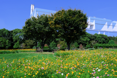 久し振りにJERAパークへ#1