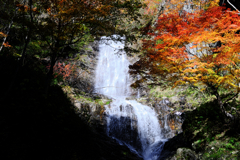 木曽町唐沢の滝・紅葉撮影＃３