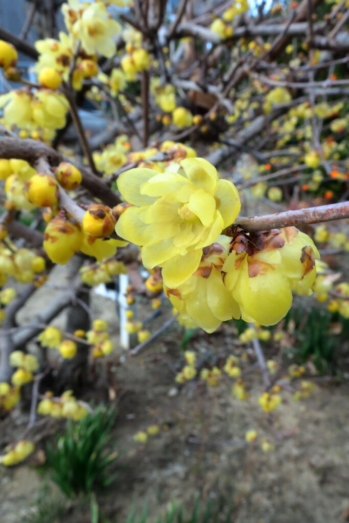 あれから１週間が過ぎ・・・・＃５