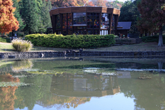 このはな館ステンドグラス＃８