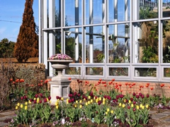 フローラルガーデンよさみ＃１