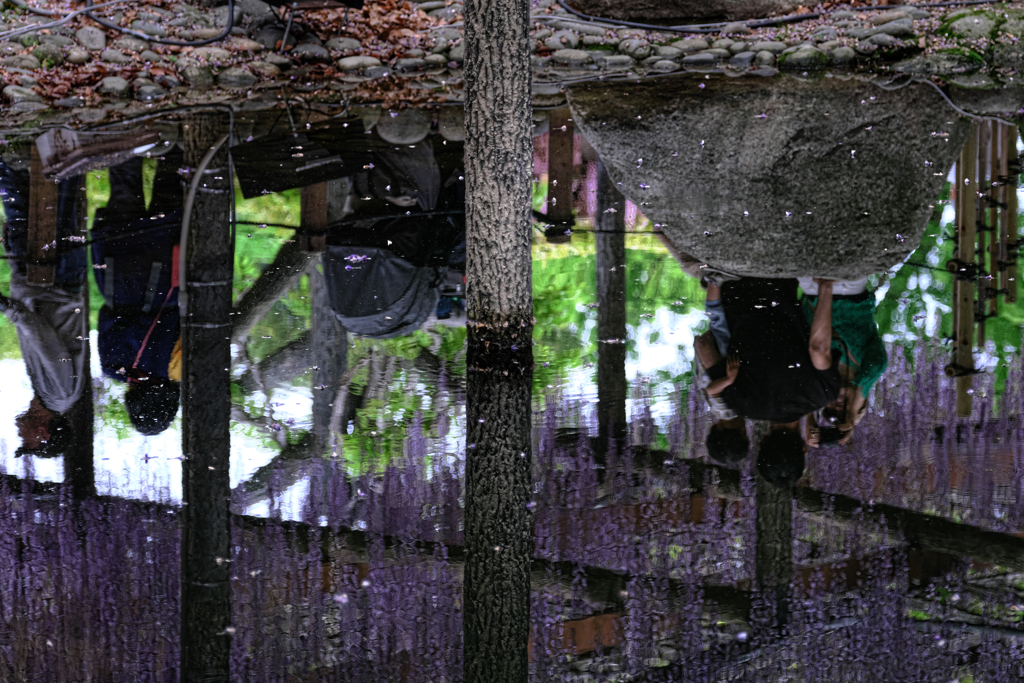 天王川・水面への映り込み＃２