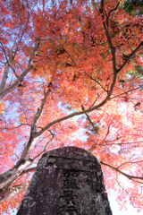 晩秋の紅葉撮影・雲興寺#9