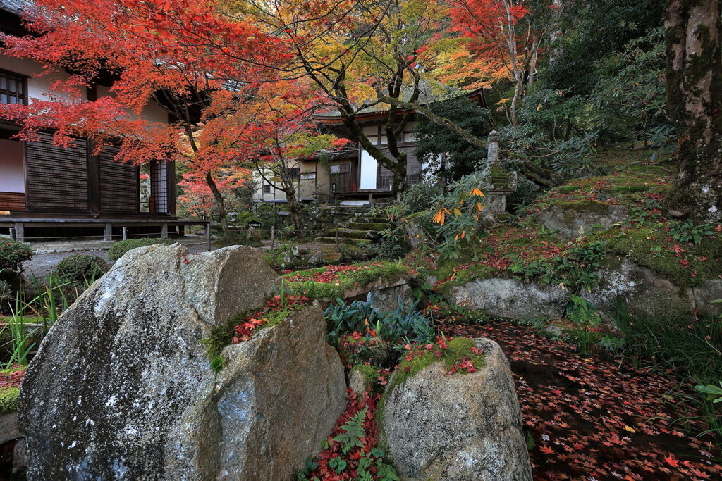 金剛輪寺の紅葉＃２