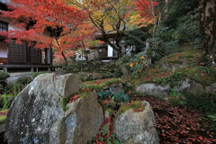 金剛輪寺の紅葉#2