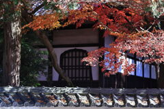 久々の永保寺・紅葉撮影＃９