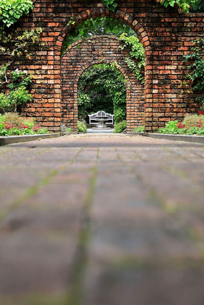 梅雨の晴れ間に出会った花たち＃５