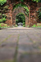 梅雨の晴れ間に出会った花たち＃５