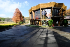 於大公園・このはな館のステンドグラス#1