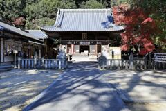 見頃を迎えた松平郷の紅葉#1