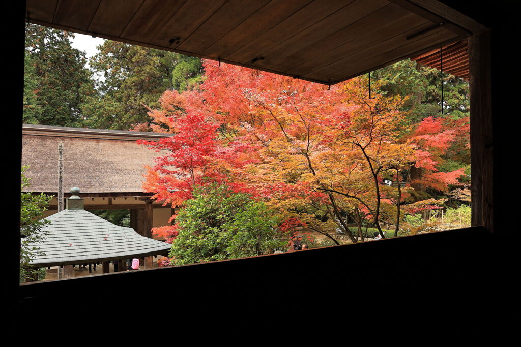 金剛輪寺の紅葉＃７