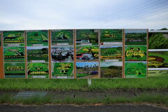 今年も逢いに田んぼアート＃２