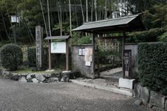 秋深し丈山苑も秋本番#1