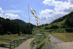 田植えを終えた新城市の千枚田棚田＃４