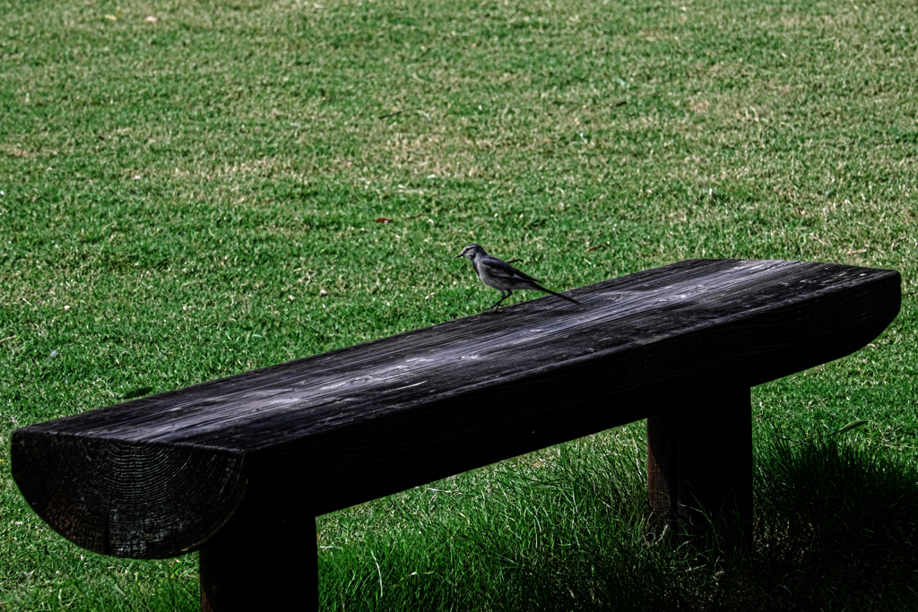 久し振りのヒーリングガーデン＃９