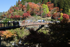 見頃の大井平公園紅葉＃１