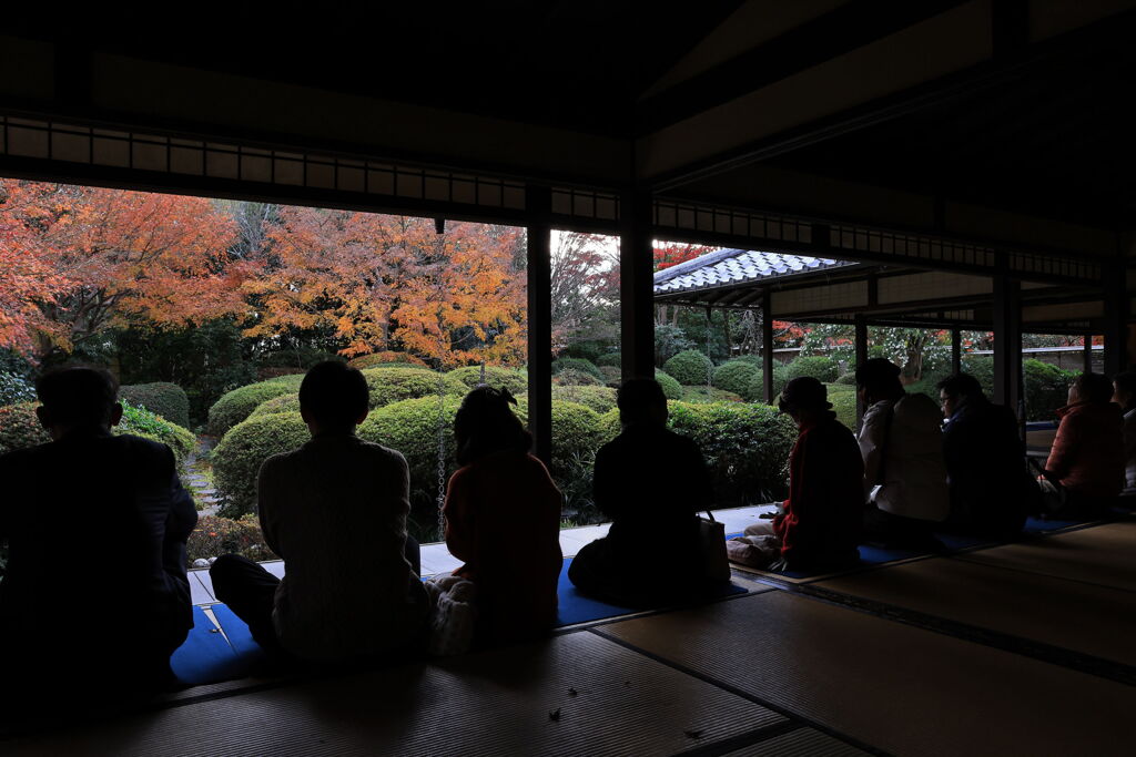 今シーズンラストの紅葉撮影＃１６