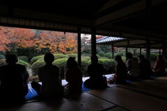 今シーズンラストの紅葉撮影＃１６