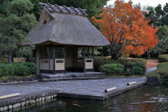 今シーズンラストの紅葉撮影＃９