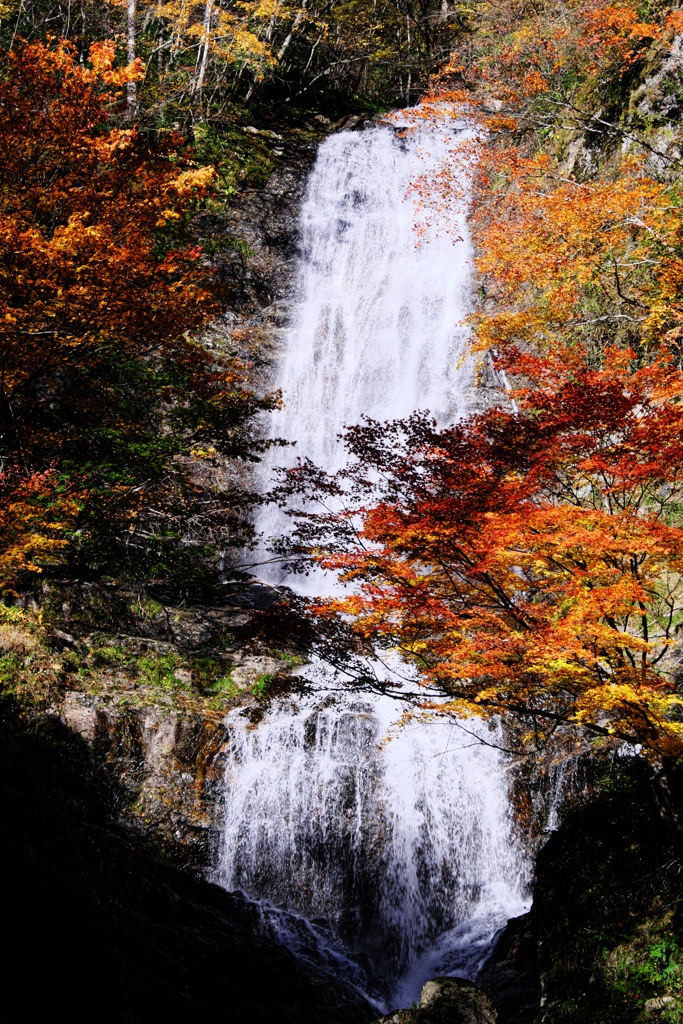 木曽町唐沢の滝・紅葉撮影＃４