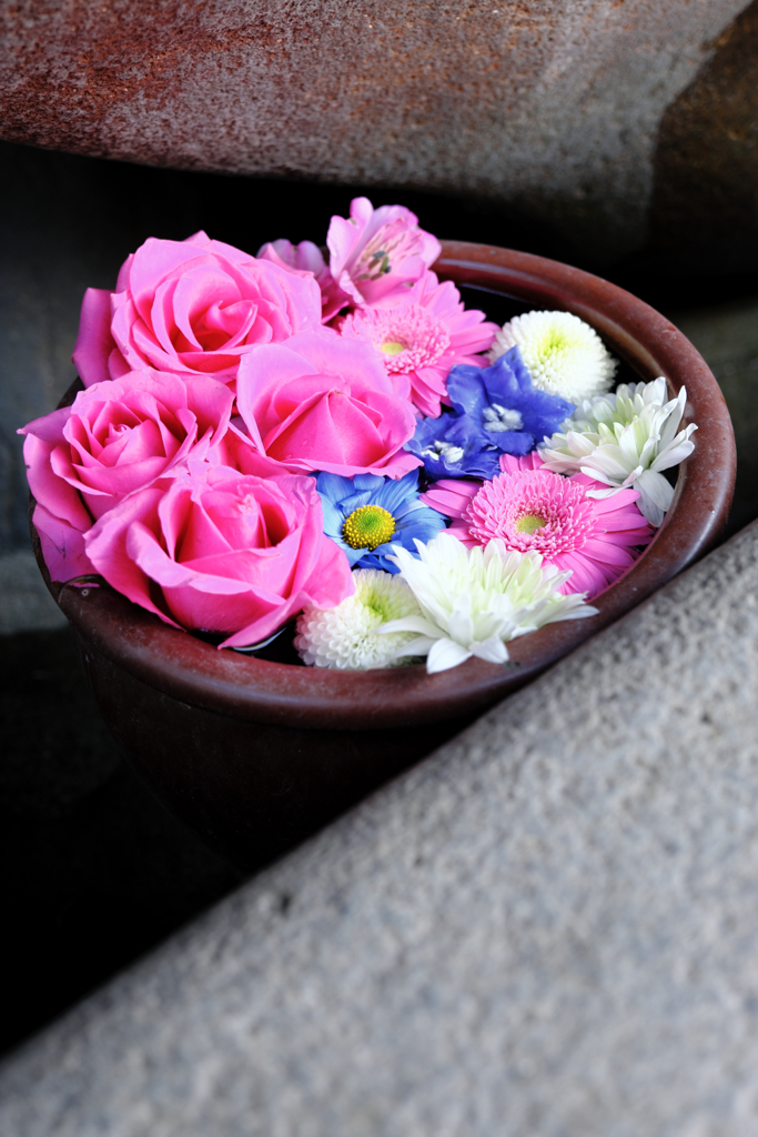 岡崎市・菅生神社の花手水＃３