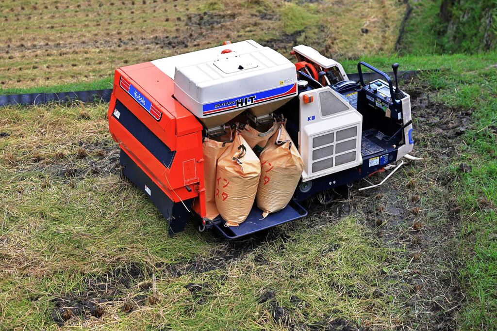 収穫を迎えた恵那市の坂折棚田＃４