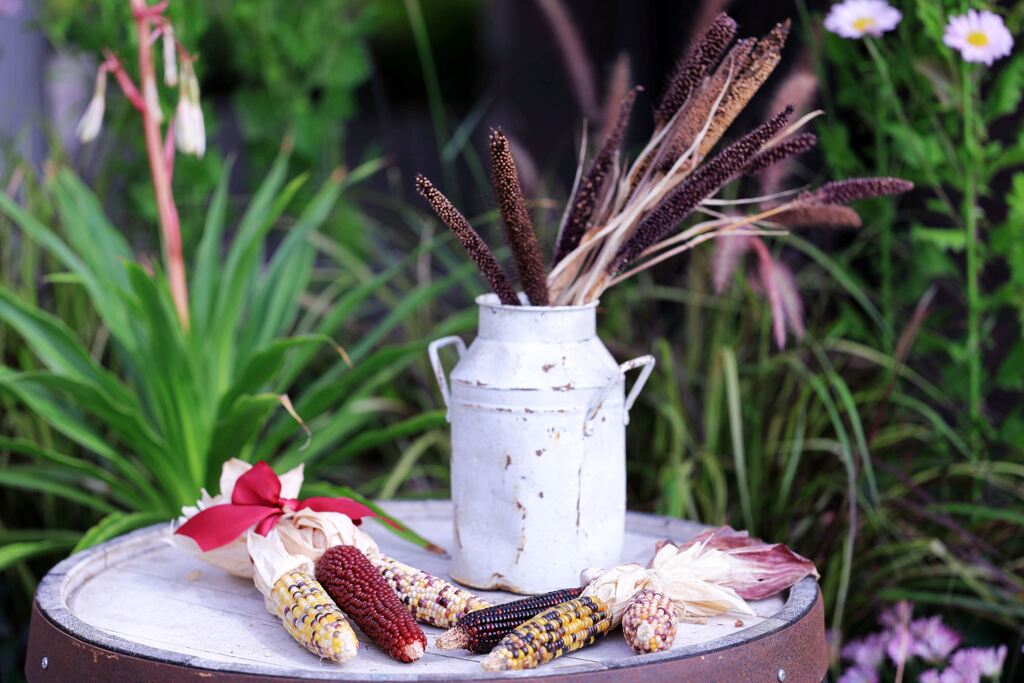 ハッピーハロウィン＃９