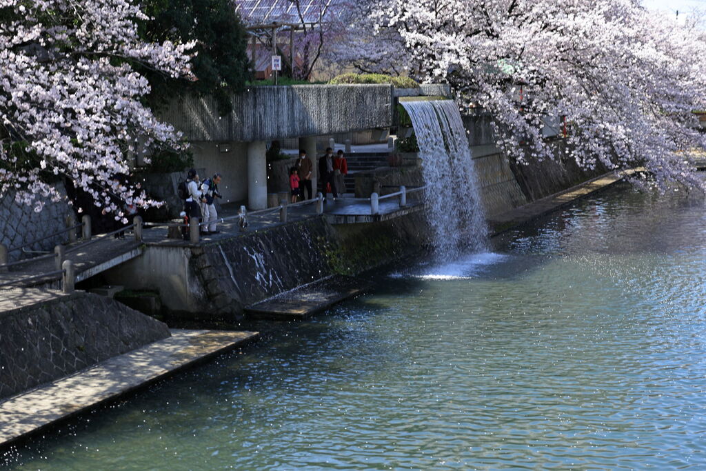 奥の細道むすびの地・大垣＃５