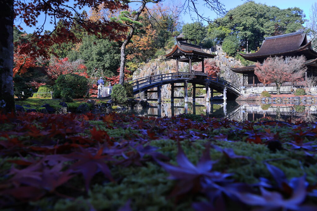 久々の永保寺・紅葉撮影＃２
