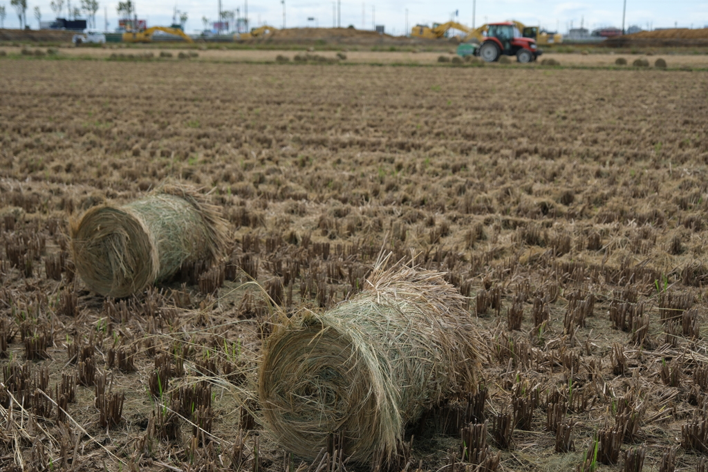 安城市で見掛けたわらロールのある情景＃８