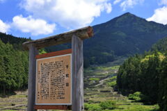 新城市・四谷千枚田棚田＃１
