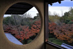 今シーズンラストの紅葉撮影＃１７
