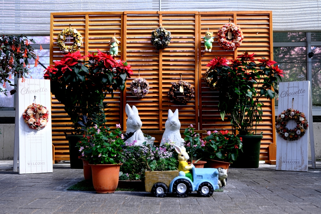 なばなの里・ベゴニアガーデン＃３