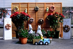 なばなの里・ベゴニアガーデン＃３