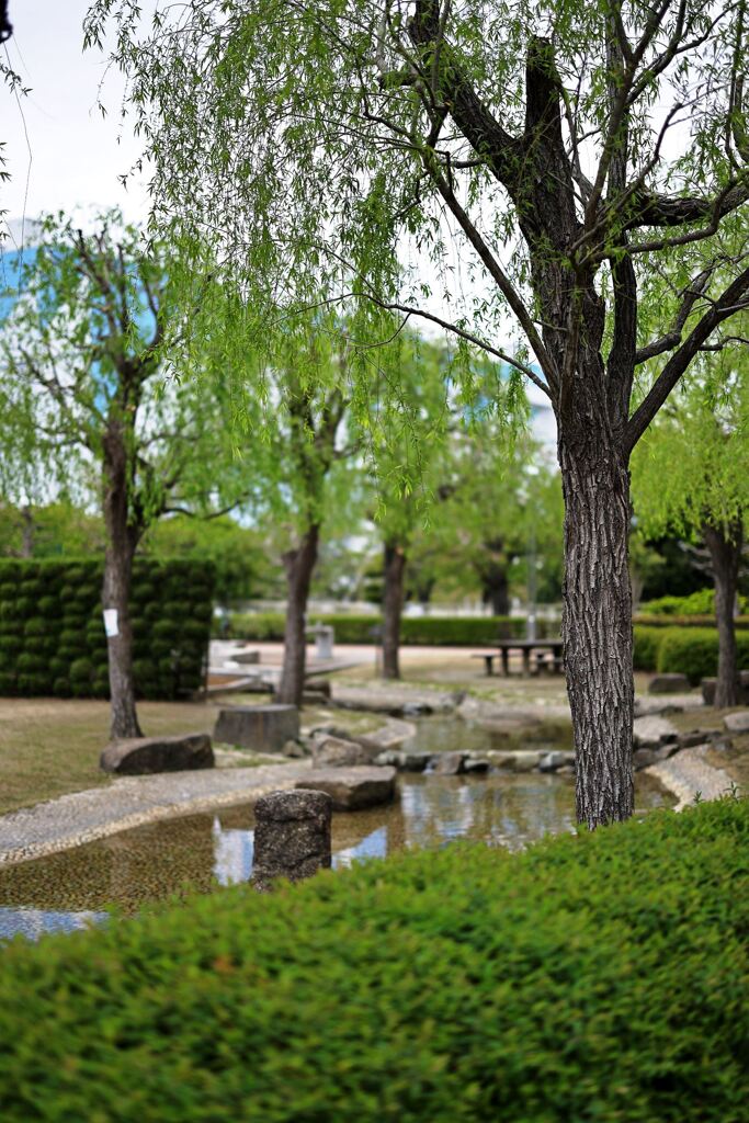 春を彩る花たち＃８