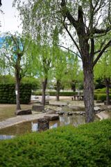 春を彩る花たち＃８