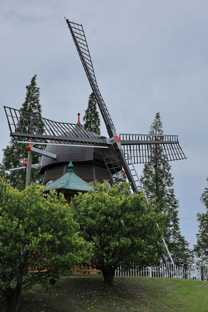 夏至の暑さに負けず・・・・＃１