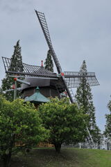 夏至の暑さに負けず・・・・＃１