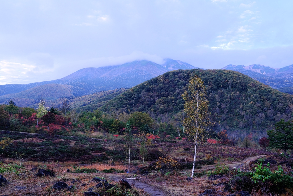 乗鞍高原で紅葉撮影＃１０